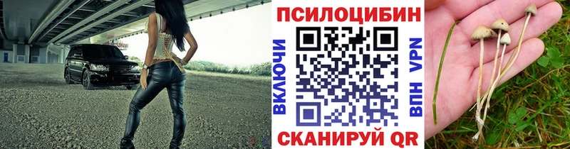 Псилоцибиновые грибы ЛСД  hydra ссылка  Навашино 